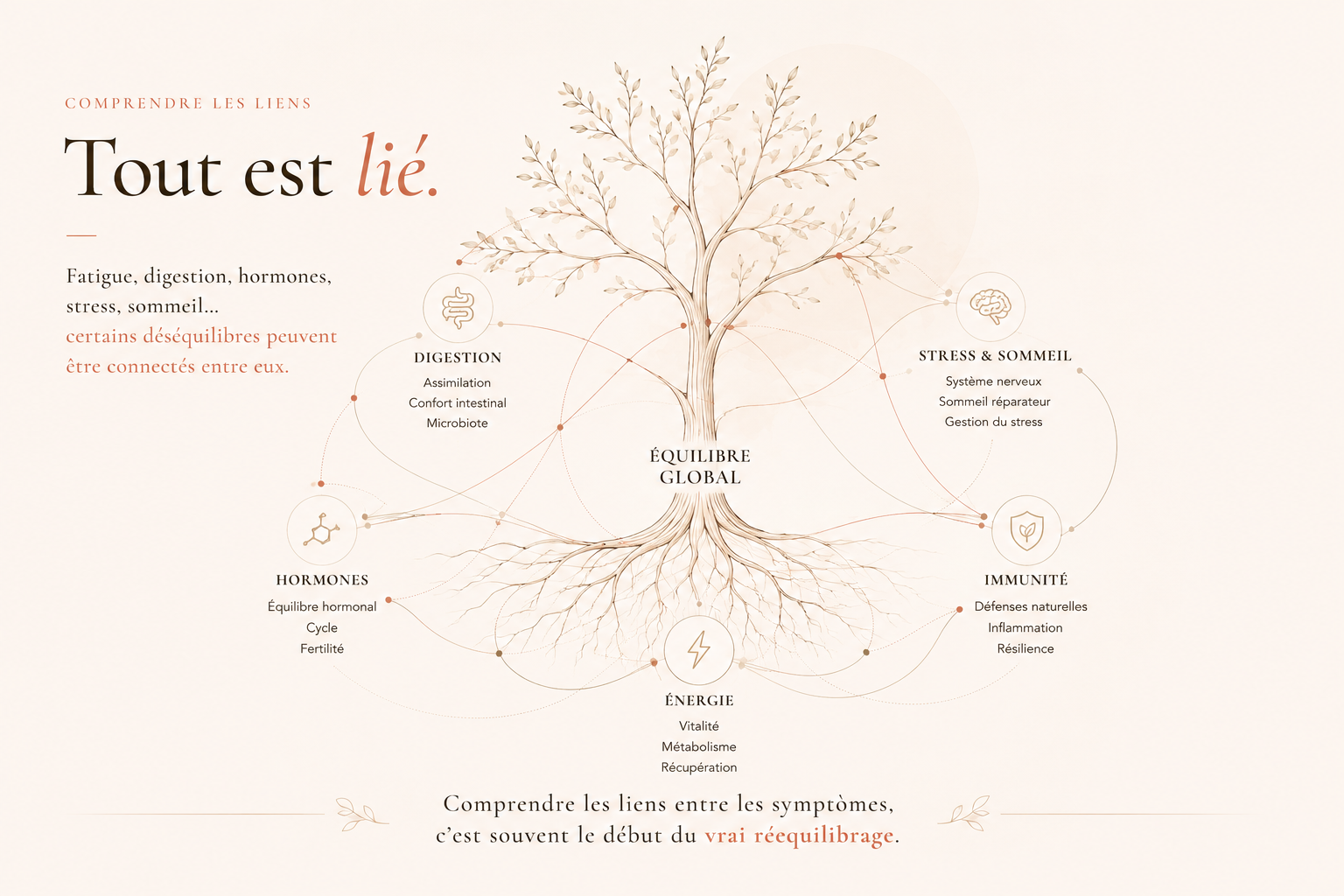 Tout est lié — comprendre les liens entre fatigue, digestion, hormones, stress, sommeil, immunité et énergie